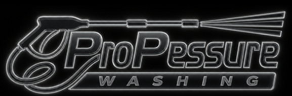 Pro Pressure Easy Accurate business website